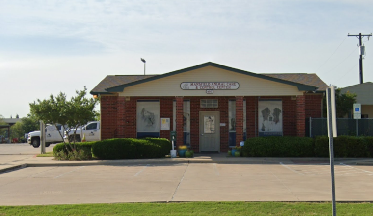 Mansfield, Texas Embraces Community Spirit with 'Clear the Shelters' Adoption Festivities