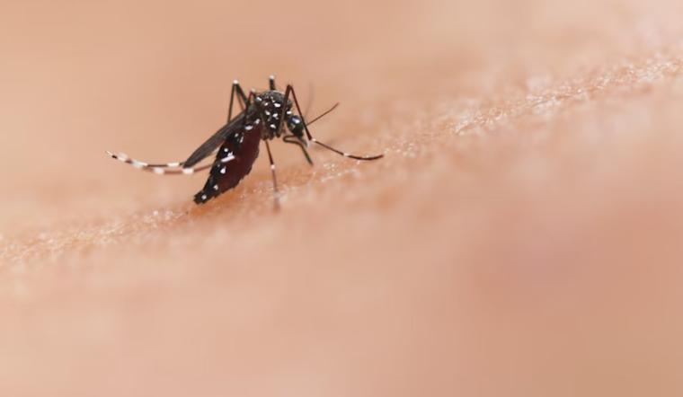 Maryland Department of Agriculture Announces Unscheduled Mosquito Spraying in Crofton to Counter Disease Risk