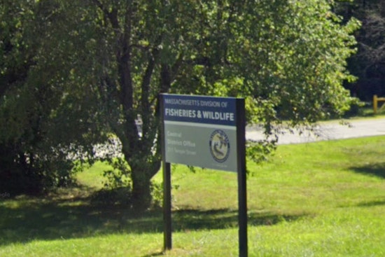 Massachusetts Unveils Groundbreaking 25-Year Biodiversity Conservation Plan Under Healey-Driscoll Administration
