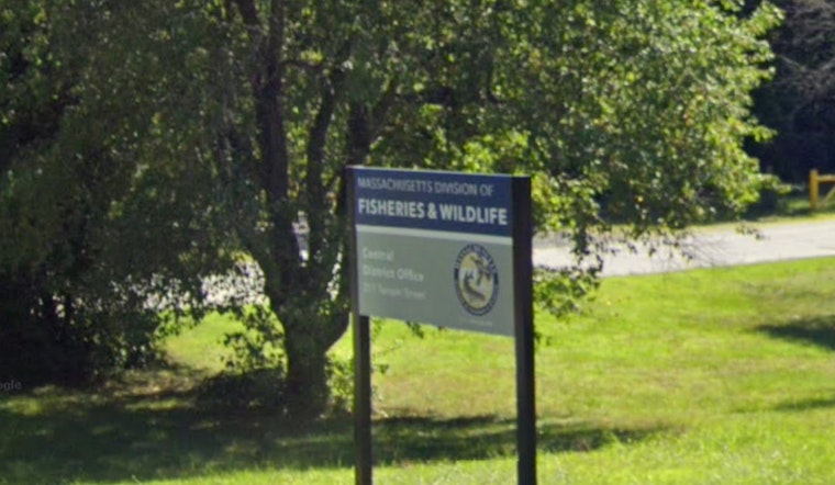 Massachusetts Unveils Groundbreaking 25-Year Biodiversity Conservation Plan Under Healey-Driscoll Administration