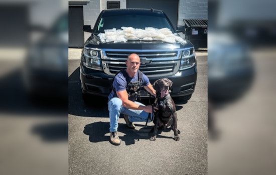 Medford Crackdown as MADGE Seizes 40 Pounds of Meth and Disrupts Drug Trafficking Network