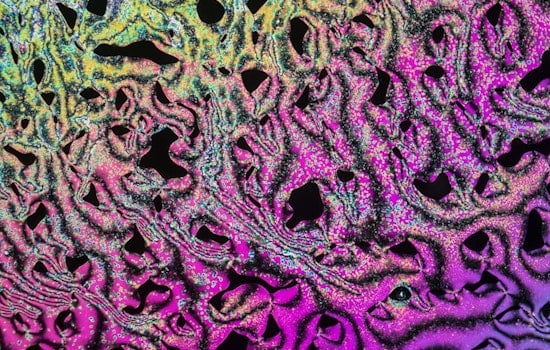 Memory Revolution: Ohio State University Unveils Liquid Crystals with Potential to Transform Data Storage