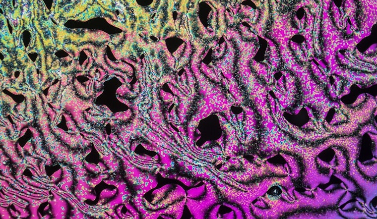 Memory Revolution: Ohio State University Unveils Liquid Crystals with Potential to Transform Data Storage