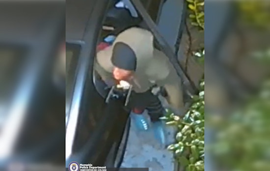 Memphis Community on Alert After Daylight Vehicle Break-Ins on Chippewa Road