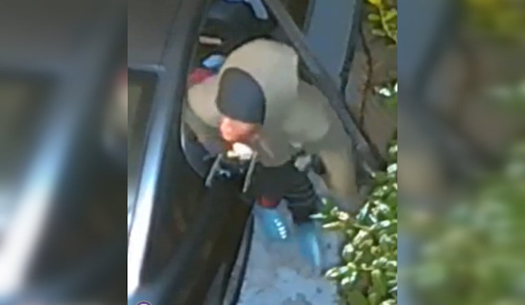 Memphis Community on Alert After Daylight Vehicle Break-Ins on Chippewa Road