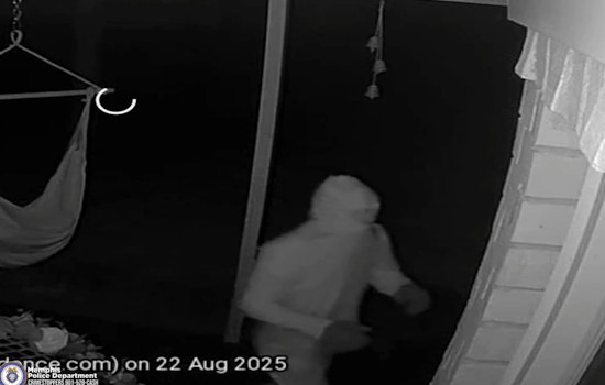 Memphis Community on Alert After Residential Burglary on Morning Woods Drive