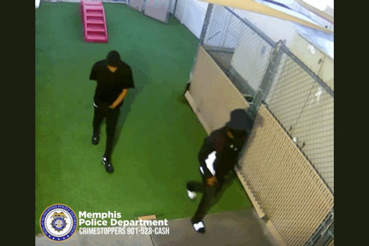 Memphis Police Investigate Early Morning Burglary at Camp Bow Wow, Suspect Sought