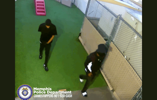 Memphis Police Investigate Early Morning Burglary at Camp Bow Wow, Suspect Sought
