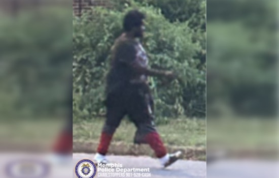 Memphis Police Investigate Residential Burglary on Gillie Street, Public Assistance Sought