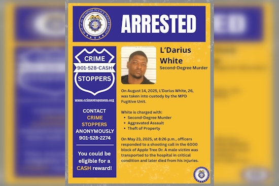Memphis Police Nab Suspect Charged with Second-Degree Murder in Apple Tree Drive Shooting