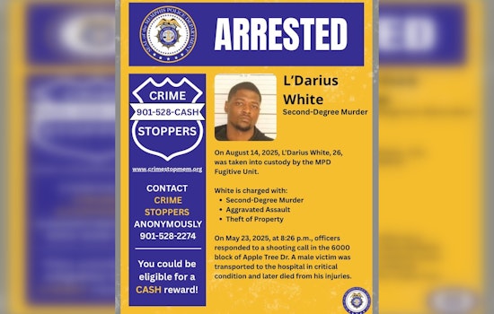 Memphis Police Nab Suspect Charged with Second-Degree Murder in Apple Tree Drive Shooting
