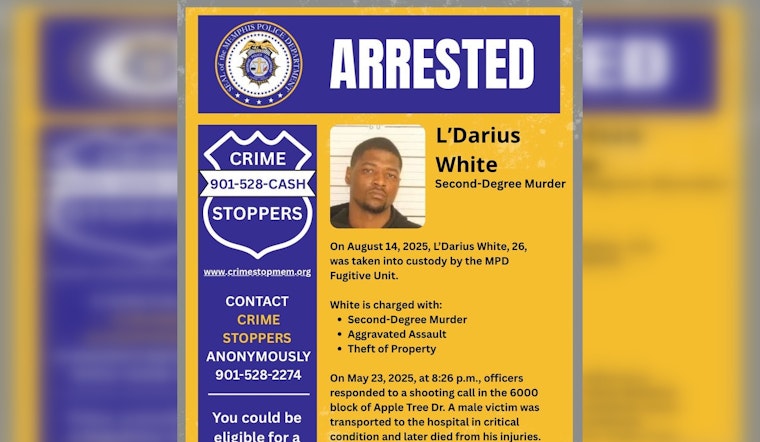 Memphis Police Nab Suspect Charged with Second-Degree Murder in Apple Tree Drive Shooting