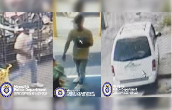 Memphis Police Search for Suspect in Dollar General Burglary on Summer Avenue