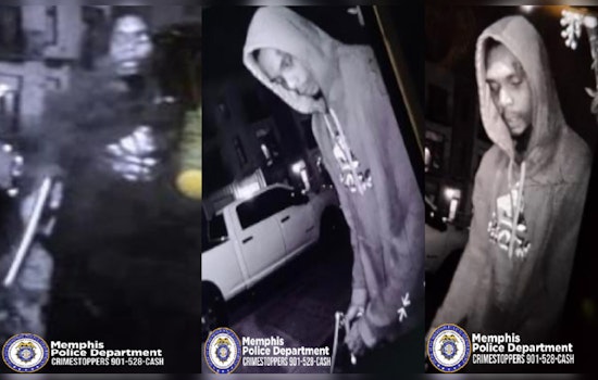 Memphis Police Seek Public Aid to Capture Suspects in Weekend Armed Robbery Spree