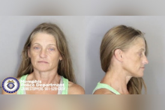 Memphis Police Seek Public Help in Locating Fugitive Donna Locke Accused of Theft and Vandalism Affecting City Infrastructure