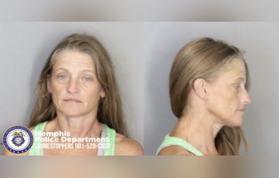 Memphis Police Seek Public Help in Locating Fugitive Donna Locke Accused of Theft and Vandalism Affecting City Infrastructure