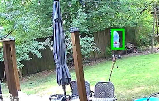 Memphis Police Seek Public's Help Identifying Suspect in Daylight Burglary Spree on York Avenue