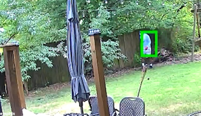 Memphis Police Seek Public's Help Identifying Suspect in Daylight Burglary Spree on York Avenue