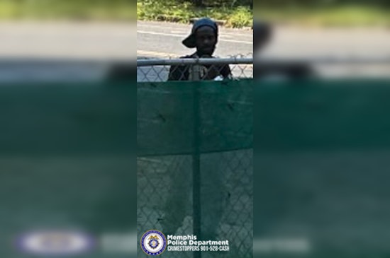 Memphis Police Seek Public's Help to Identify Suspect in New Willow Road Burglary