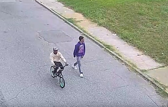 Memphis Police Seek Public's Help in Carjacking Case Outside Local Grocery Store