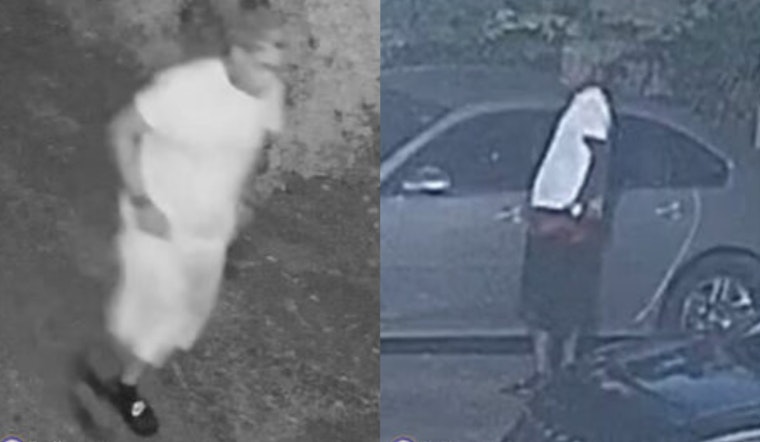 Memphis Police Seek Public's Help in $10,000 Residential Burglary and Chevy Impala Theft on Monroe Avenue