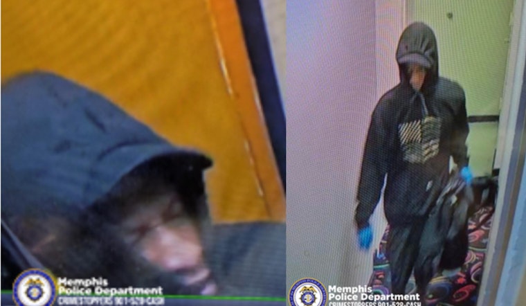 Memphis Police Seek Suspect in Early Morning Burglary at Jumping World on Shelby Oaks Drive