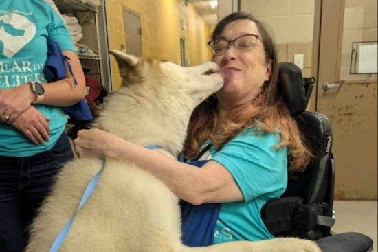 Mesquite Animal Shelter Teams Up with Clear the Shelters for Fee-Waived Adoption Event on August 23