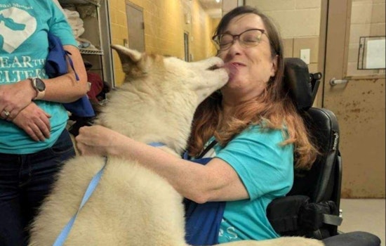 Mesquite Animal Shelter Teams Up with Clear the Shelters for Fee-Waived Adoption Event on August 23