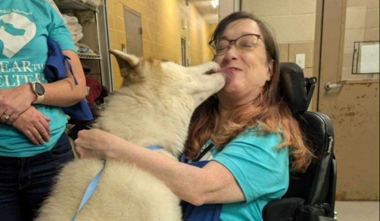 Mesquite Animal Shelter Teams Up with Clear the Shelters for Fee-Waived Adoption Event on August 23