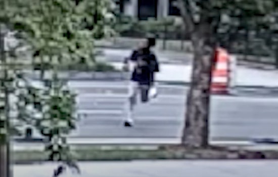 Metropolitan Police Seek Public's Aid to Identify Suspects in Northwest D.C. Snatch-and-Run Theft