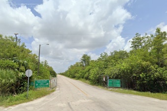 Miami-Dade County's "Alligator Alcatraz" Construction Halted Amid Environmental and Human Rights Concerns