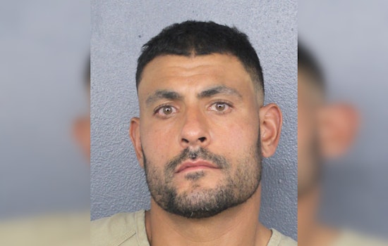 Miami Dolphins Coach Ryan Crow Arrested on Domestic Battery Charge in Fort Lauderdale