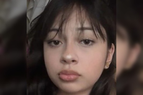 Miami Police Seek Community Help in Search for Missing 12-Year-Old Girl Arianna Amador from Model City