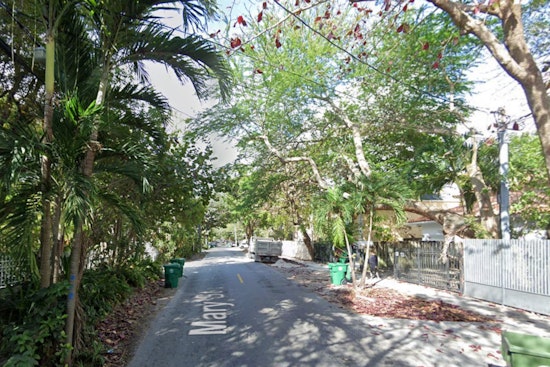 Miami's Coconut Grove Faces Ongoing Tree Crisis, Fallen Giant Adds to Property Damage and Safety Concerns