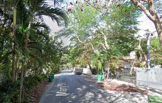 Miami's Coconut Grove Faces Ongoing Tree Crisis, Fallen Giant Adds to Property Damage and Safety Concerns