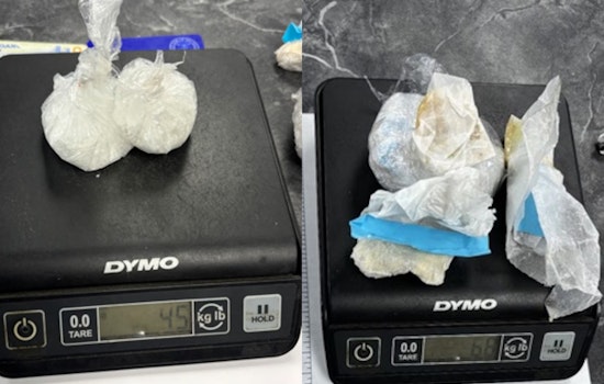 Michigan Attorney Investigated for Allegedly Smuggling Drugs into Central Michigan Correctional Facility