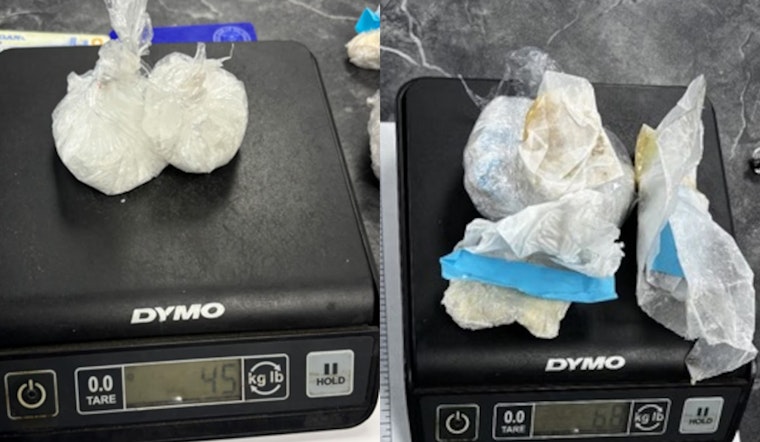 Michigan Attorney Investigated for Allegedly Smuggling Drugs into Central Michigan Correctional Facility