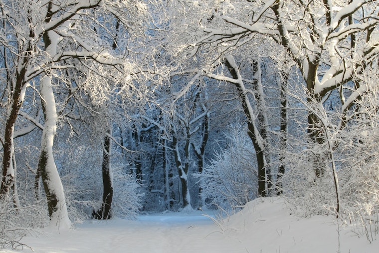 Michigan Residents Encouraged to Apply for Home Heating Credit Before September Deadline