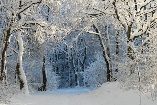 Michigan Residents Encouraged to Apply for Home Heating Credit Before September Deadline