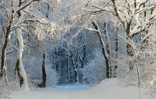 Michigan Residents Encouraged to Apply for Home Heating Credit Before September Deadline