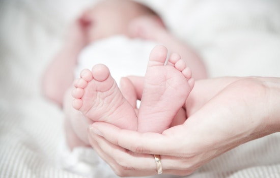 Michigan Senate Bill Proposes Statewide Expansion of Rx Kids Cash Assistance for New Parents
