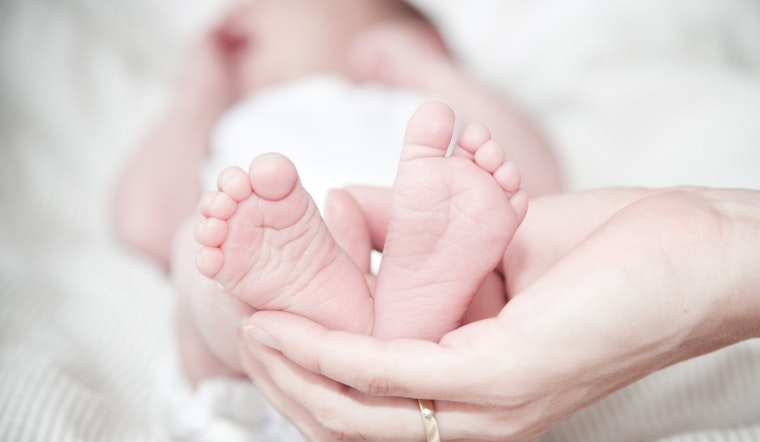 Michigan Senate Bill Proposes Statewide Expansion of Rx Kids Cash Assistance for New Parents