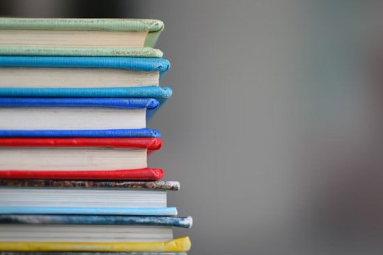 Michigan Student Tests Show Progress in Math and ELA, But Younger Students Struggle with Reading Proficiency