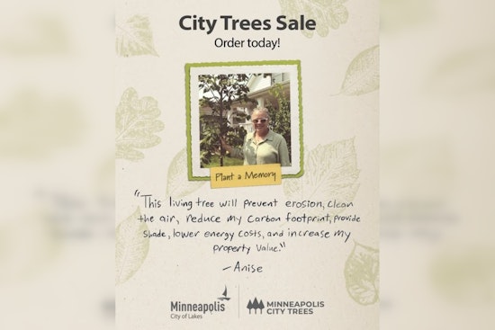 Minneapolis Launches City Trees Sale Encouraging Residents to Plant and Green Their Neighborhoods