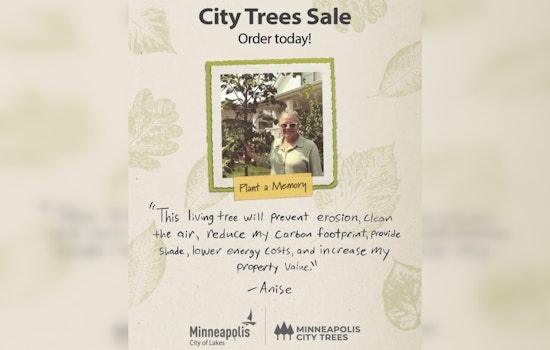 Minneapolis Launches City Trees Sale Encouraging Residents to Plant and Green Their Neighborhoods