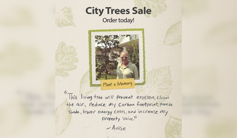 Minneapolis Launches City Trees Sale Encouraging Residents to Plant and Green Their Neighborhoods