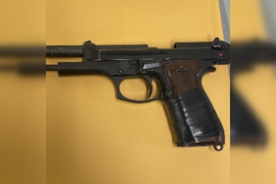 Minneapolis Police Issue Guidelines for Legal Firearm Transportation Amid National Gun Control Debate