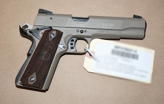Minneapolis Police Issue Urgent Plea to Gun Owners Amid Surge in Firearms Theft from Vehicles