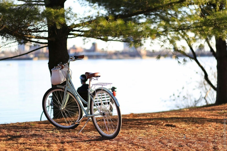 Minneapolis Urges Cyclists to Register Bike Serial Numbers to Thwart Theft and Enhance Recovery