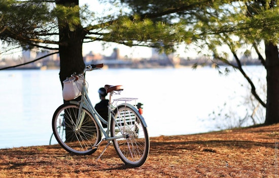 Minneapolis Urges Cyclists to Register Bike Serial Numbers to Thwart Theft and Enhance Recovery